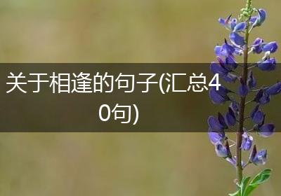 关于相逢的句子(汇总40句)