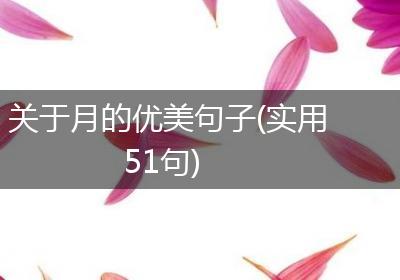 关于月的优美句子(实用51句)