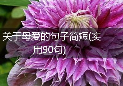 关于母爱的句子简短(实用90句)
