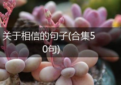 关于相信的句子(合集50句)