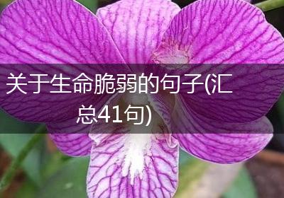 关于生命脆弱的句子(汇总41句)