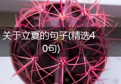 关于立夏的句子(精选40句)
