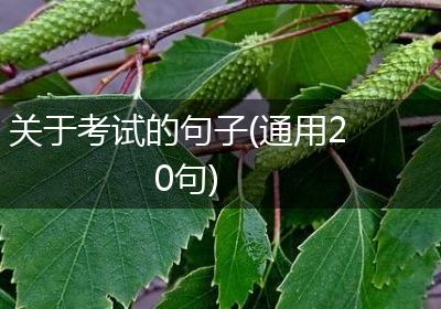 关于考试的句子(通用20句)
