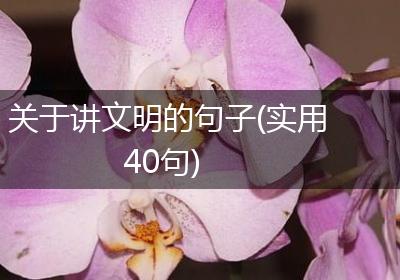关于讲文明的句子(实用40句)