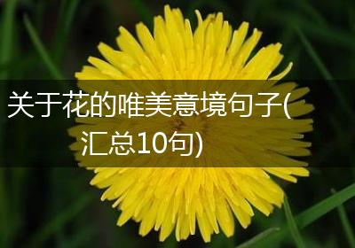 关于花的唯美意境句子(汇总10句)