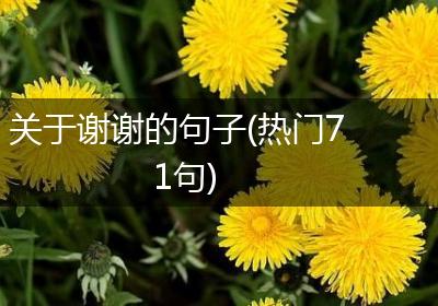 关于谢谢的句子(热门71句)