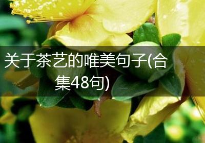 关于茶艺的唯美句子(合集48句)