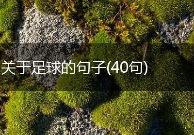 关于足球的句子(40句)