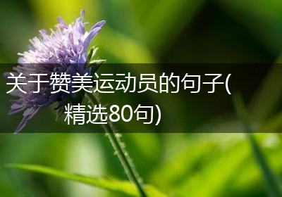 关于赞美运动员的句子(精选80句)
