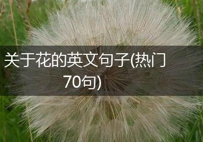 关于花的英文句子(热门70句)