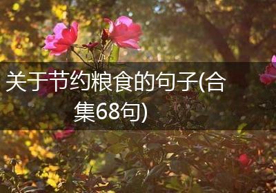 关于节约粮食的句子(合集68句)