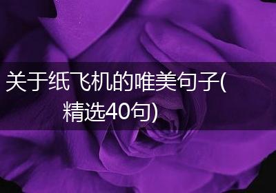 关于纸飞机的唯美句子(精选40句)