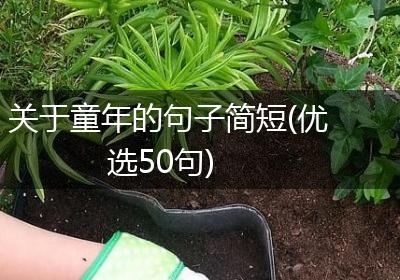 关于童年的句子简短(优选50句)