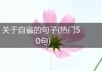关于自省的句子(热门50句)