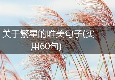 关于繁星的唯美句子(实用60句)
