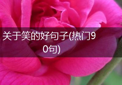 关于笑的好句子(热门90句)