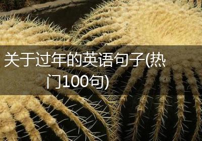 关于过年的英语句子(热门100句)