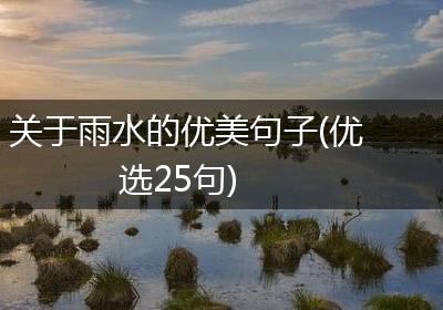 关于雨水的优美句子(优选25句)