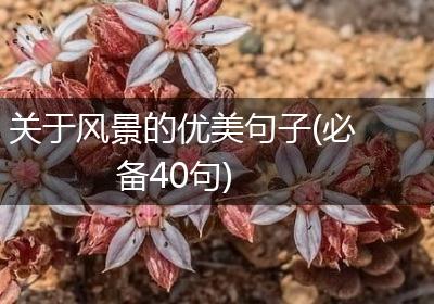 关于风景的优美句子(必备40句)