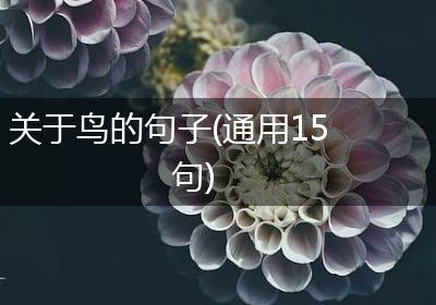 关于鸟的句子(通用15句)