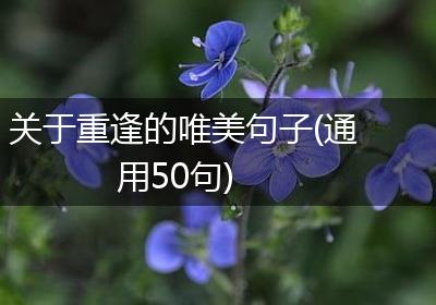 关于重逢的唯美句子(通用50句)