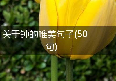 关于钟的唯美句子(50句)