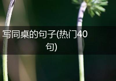 写同桌的句子(热门40句)
