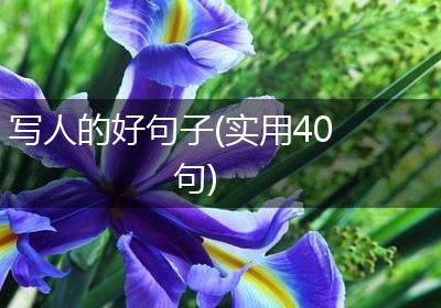 写人的好句子(实用40句)