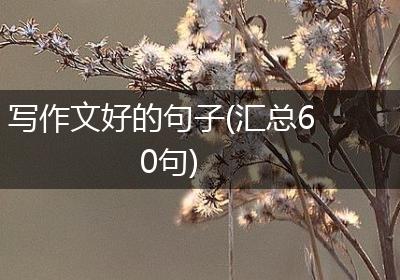 写作文好的句子(汇总60句)