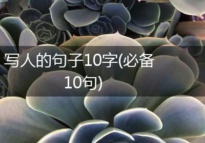 写人的句子10字(必备10句)