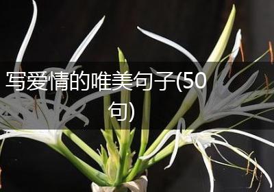 写爱情的唯美句子(50句)