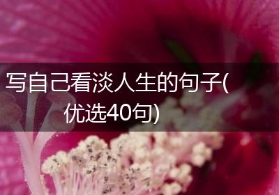 写自己看淡人生的句子(优选40句)