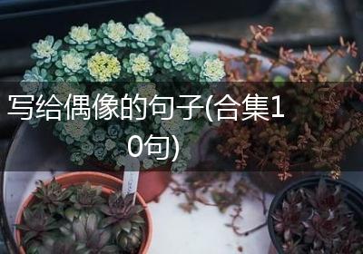 写给偶像的句子(合集10句)