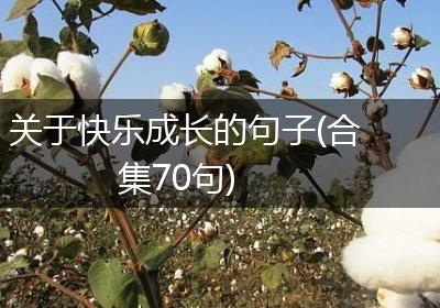 关于快乐成长的句子(合集70句)