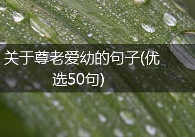 关于尊老爱幼的句子(优选50句)