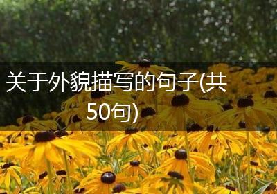 关于外貌描写的句子(共50句)