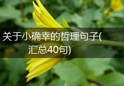 关于小确幸的哲理句子(汇总40句)