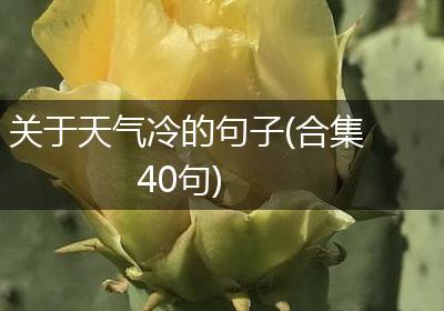 关于天气冷的句子(合集40句)