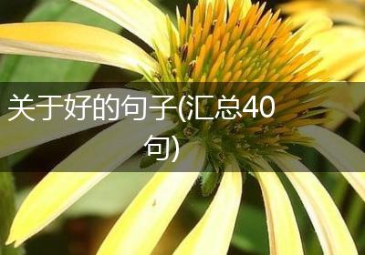 关于好的句子(汇总40句)