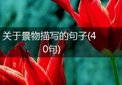关于景物描写的句子(40句)