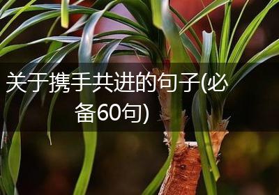 关于携手共进的句子(必备60句)