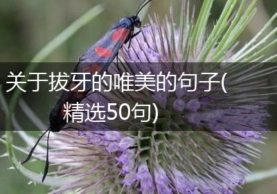 关于拔牙的唯美的句子(精选50句)