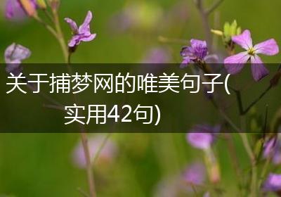 关于捕梦网的唯美句子(实用42句)