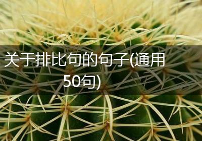 关于排比句的句子(通用50句)