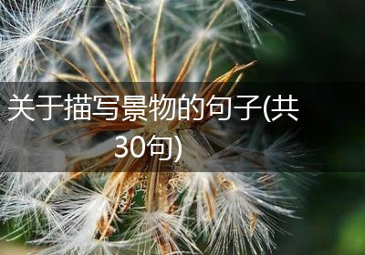 关于描写景物的句子(共30句)