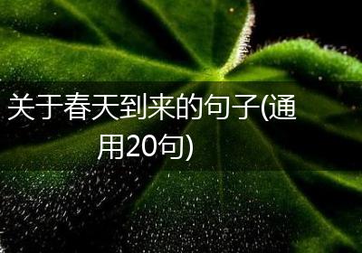 关于春天到来的句子(通用20句)