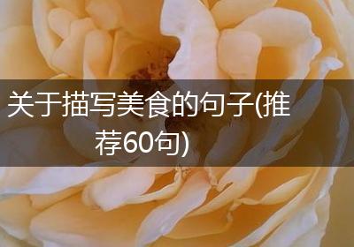 关于描写美食的句子(推荐60句)