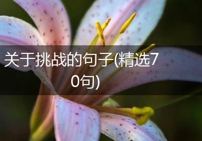 关于挑战的句子(精选70句)