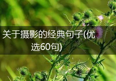 关于摄影的经典句子(优选60句)