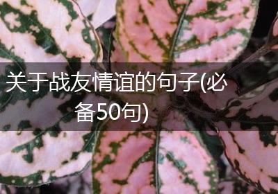 关于战友情谊的句子(必备50句)
